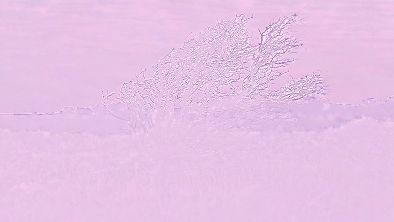 Impressions